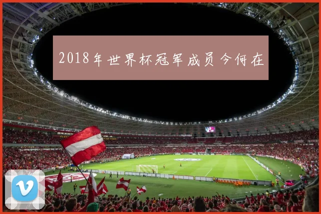 2018年世界杯冠军成员今何在