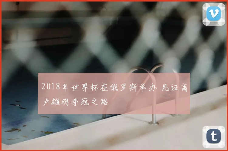 2018年世界杯在俄罗斯举办 见证高卢雄鸡夺冠之路