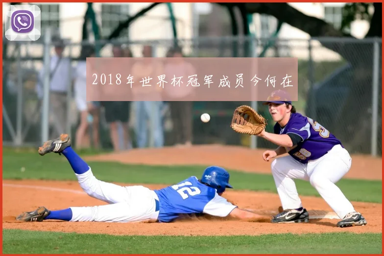 2018年世界杯冠军成员今何在