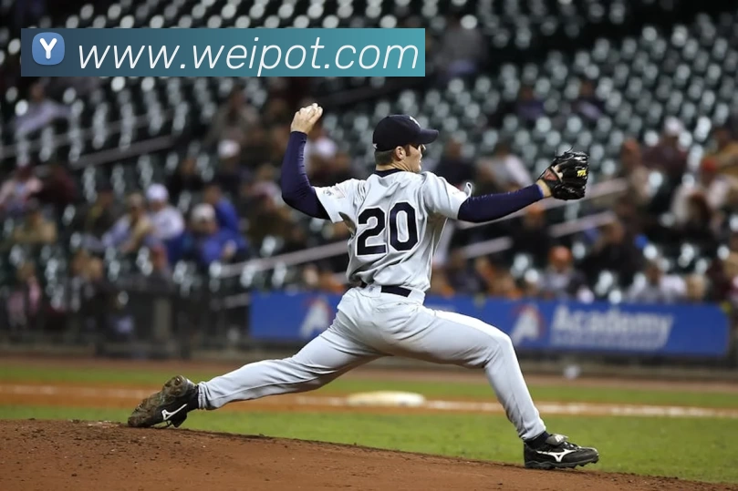 乐竞体育官方首页发展历程